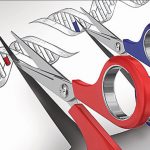 Otorgan al MIT y a la Universidad de Harvard la patente de la técnica para editar genomas