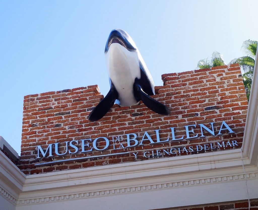 Museo de la ballena