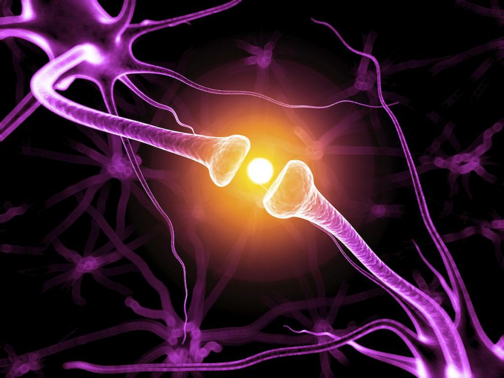 Sinapsis entre dos neuronas