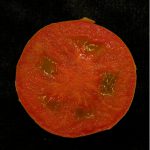 Un cambio en el genoma produce tomates sin semillas
