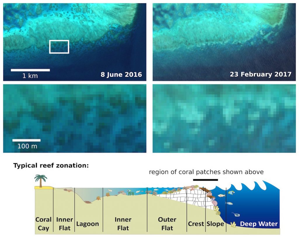 Blanqueamiento de la Gran Barrera de Coral, captda por el satélite Sentinel 2
