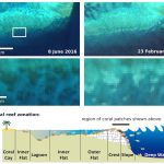 La decoloración de la Gran Barrera de Coral vista desde el espacio por Sentinnel 2