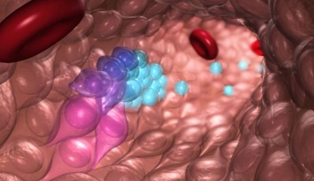 Células madre para la creación de sangre- O'Reilly Science Art
