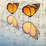 Mariposas Monarca y su reflejo en el agua- Rafael Araujo