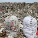 Unas 8,300 millones de toneladas de plástico circulan por el mundo