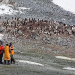 La contaminación humana llega a la Antártida