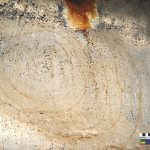 Para las pinturas rupestres en Cuba usaron excremento de murciélago