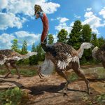 Un dinosaurio con cabeza de casuario y cuerpo de avestruz