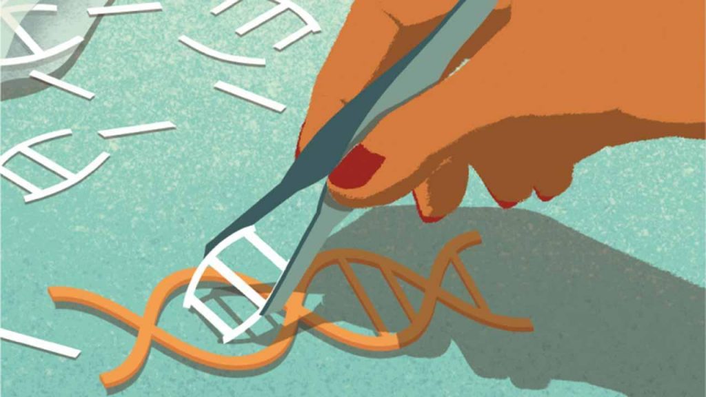 Reparación genética, CRISPR