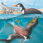 Los Neornithes, aves parecidas a los patos, sobrevivieron a la extinción de los dinosaurios