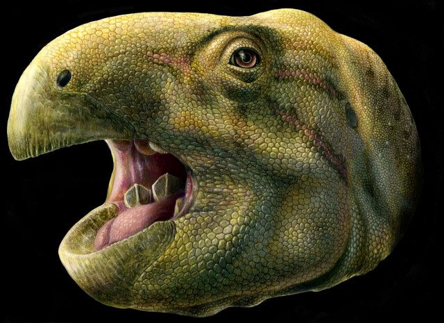 Matheronodon provincialis, dinosaurio con dientes como tijeras- Lukas Panzarin