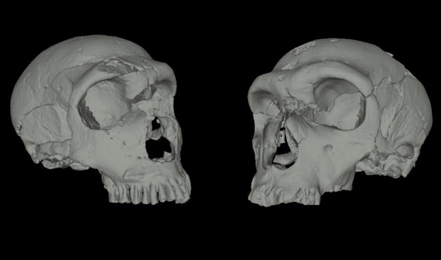 Reconstrucción en 3D de cráneos de neandertales- A. Balzeau (Musée de l'Homme, Paris, France