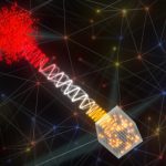 Cómo crear una red cuántica híbrida entre laboratorios distintos