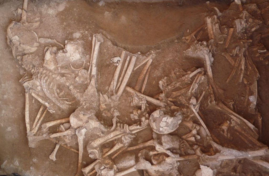 Yacimiento arqueológico de Álava (Alto de la Huesera)- J.Fernández-Eraso y J.A.Mujika-Alustiza