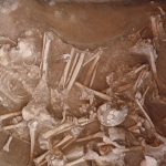 3,000 años duró la mezcla entre cazadores y agricultores en Europa