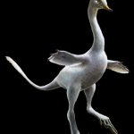 Un dinosaurio parecido a un pato con cuello de cisne y aletas de pingüino
