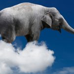 Ni en kilos ni en toneladas, el peso de las nubes se mide en elefantes: David Calle