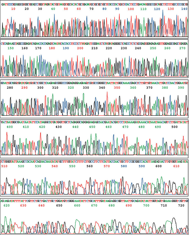 Fragmento de la secuencia del genoma humano- Human Genome Program