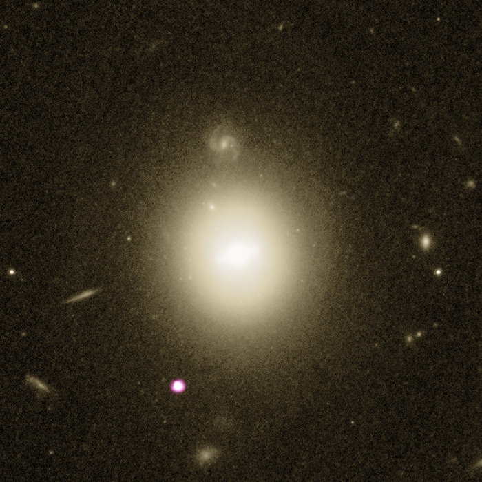 El mejor candidato de agujero negro de masa intermedia y la galaxia anfitriona- NASA, ESA, Hubble