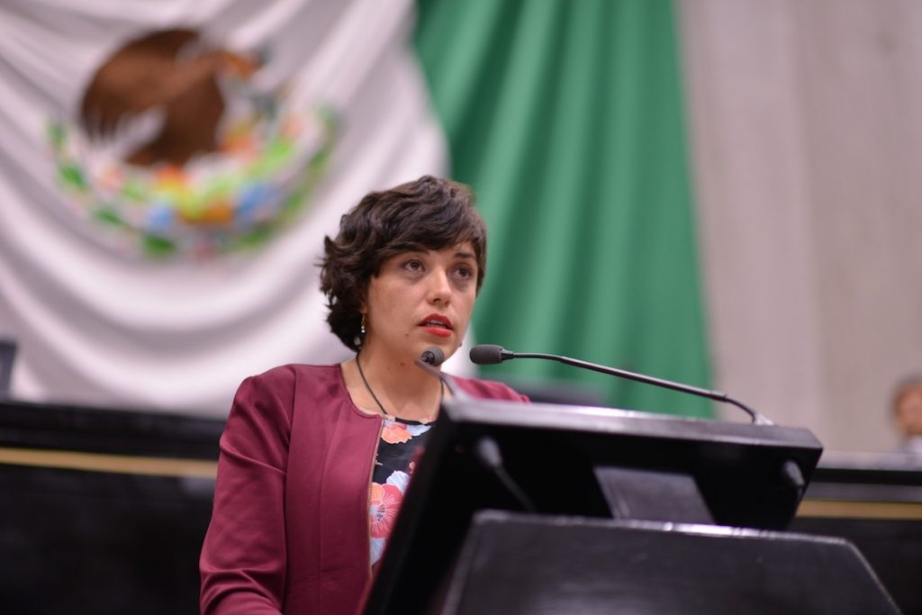 Diputada Guadalupe Osorno Maldonado