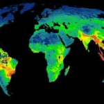 El primer mapa que muestra cómo los humanos destruyen la biodiversidad