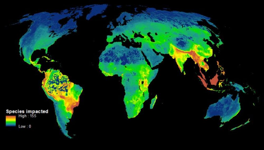El mapa muestra las zonas calientes de la biodiversidad, donde las especies están más amenazadas- James Allan et al