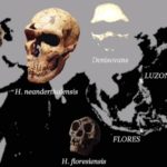 Otra especie humana vivía en Filipinas, el Homo luzonensis