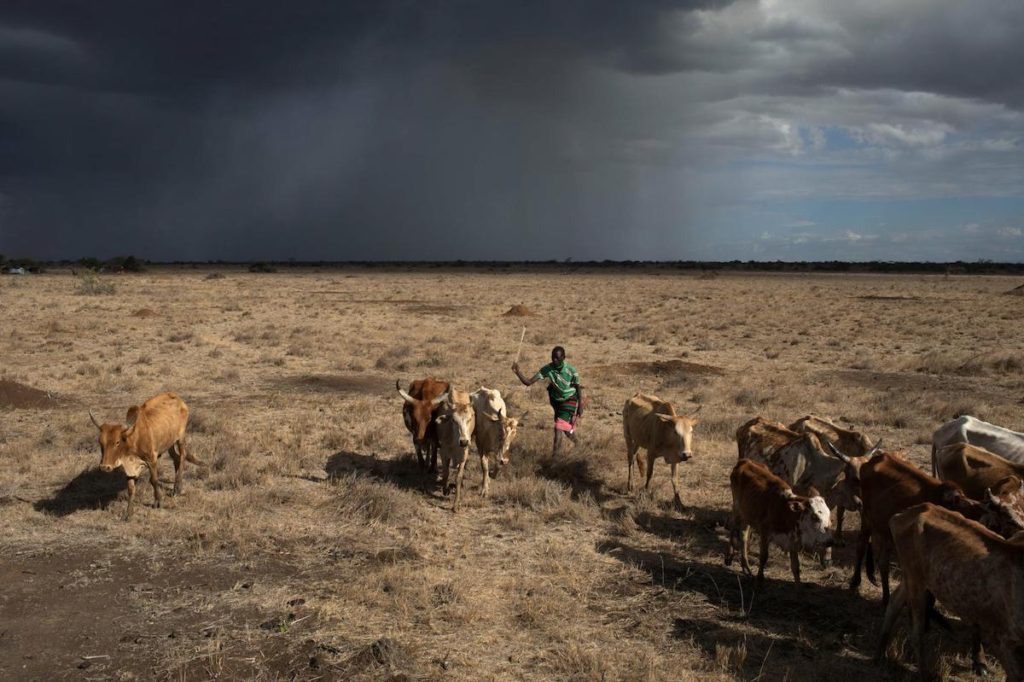 Por la desertificación, en 2025 podrá haber 1,800 millones de personas que vivan en una escasez absoluta de agua