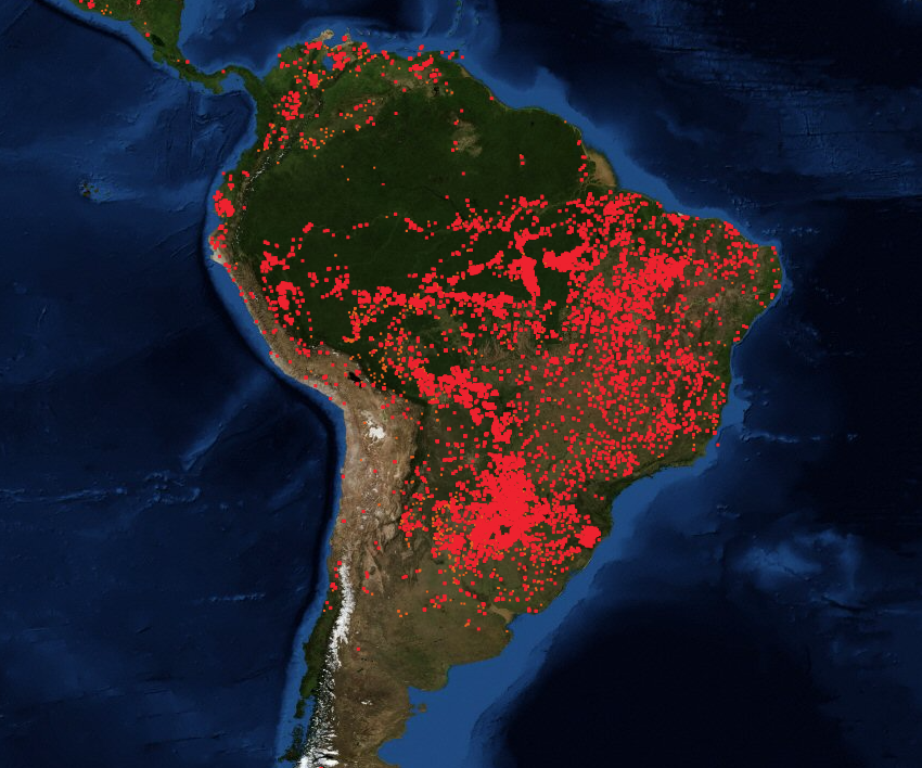 Incendios activos en el Amazonas, 21 de agosto- FIRMS, NASA
