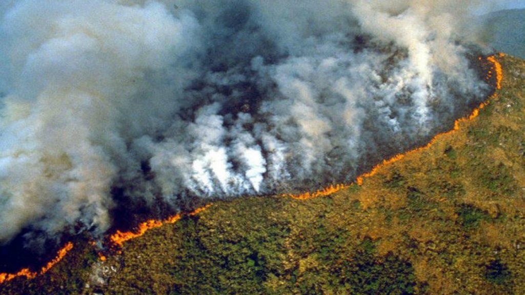 Los "Pulmones del mundo" arden: La Amazonia se está quemando