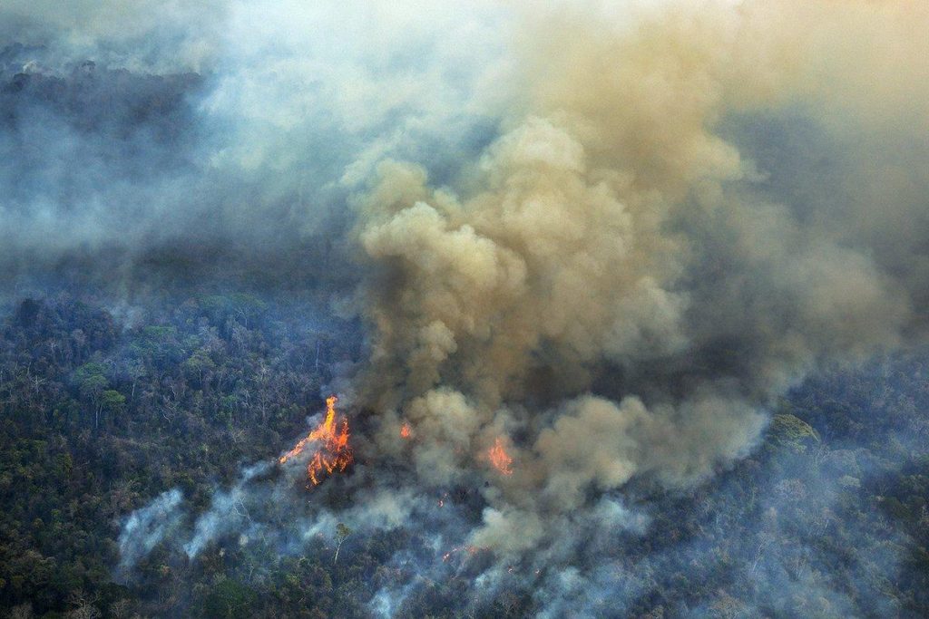 Los "Pulmones del mundo" arden: La Amazonia se está quemando