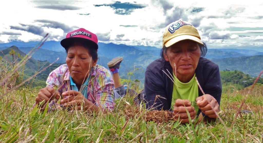 La desigualdad que sufren las mujeres rurales, se agrava con el cambio climático: ONU