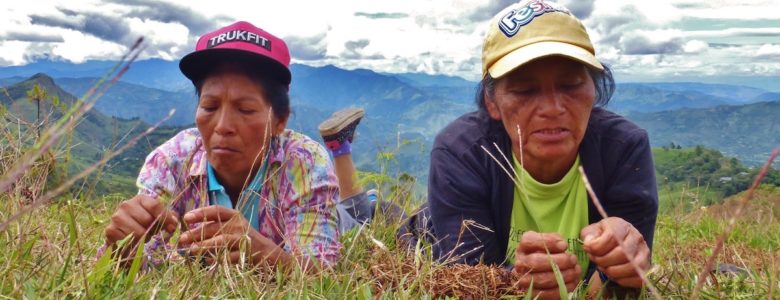 La desigualdad que sufren las mujeres rurales, se agrava con el cambio climático: ONU
