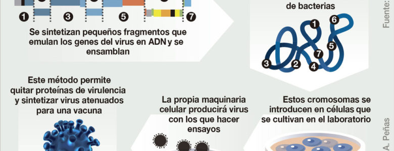 Como fabricar un virus en un laboratorio para buscar su vacuna. El caso del coronavirus de Wuhan Como fabricar un virus en un laboratorio para buscar su vacuna. El caso del coronavirus de Wuhan