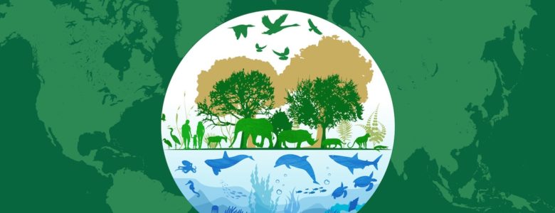 Día Mundial de la Vida Silvestre