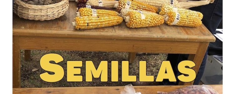 Semillas: El Jarocho Cuántico Semillas: El Jarocho Cuántico