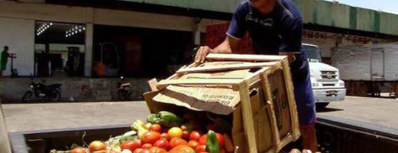 El 14% de los alimentos se pierde entre la cosecha y la venta. Día Internacional de Concienciación sobre la Pérdida y el Desperdicio de Alimentos
