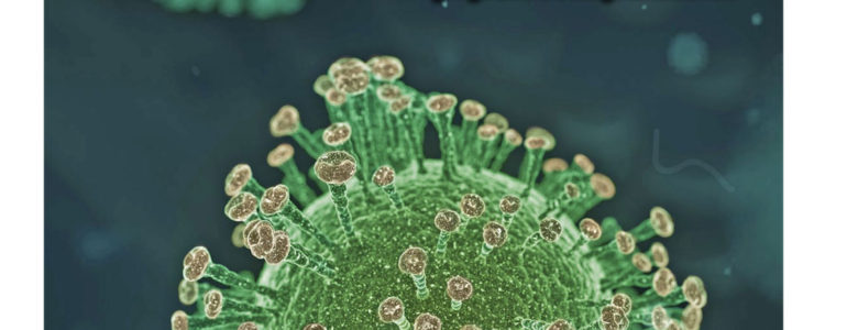 Los virus, esos pequeños conquistadores: El Jarocho Cuántico