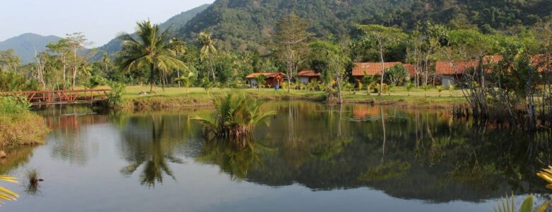 Poblado en la Selva del Amazonas- Pixabay